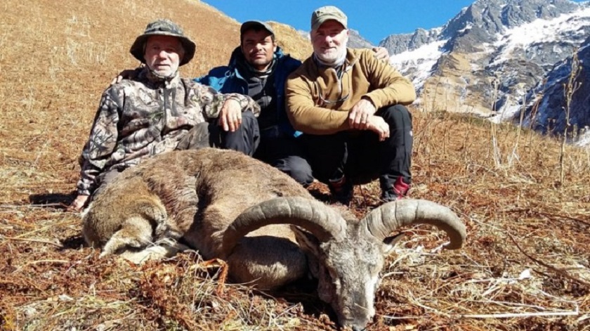 ढोरपाटनमा दोस्रो यामको सिकार सुरु