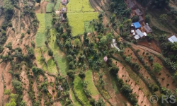 व्यावसायिक फलफूलखेतीतर्फ भुल्केका किसानको आकर्षण