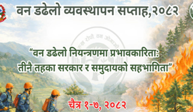 डढेलो व्यवस्थापन सप्ताह आजदेखि सुरु