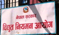 ‘डेडिकेटेड’ र ‘ट्रंक लाइन’ महसुल विवाद : उद्योगीको मागदाबी नपुग्ने आयोगको निर्णय