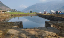 आकर्षक पर्यटकीयस्थल बन्दै रत्नेचौरको बुढो पोखरी