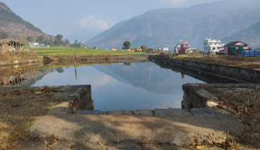 आकर्षक पर्यटकीयस्थल बन्दै रत्नेचौरको बुढो पोखरी