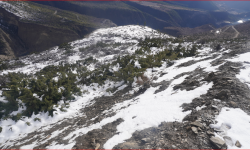 हिमपातले किसानलाई राहत