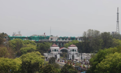 वसन्तको आगमनसँगै काठमाडौँमा छायो हरियाली