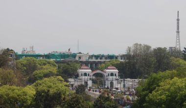 वसन्तको आगमनसँगै काठमाडौँमा छायो हरियाली