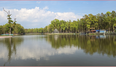 पर्यटकको रोजाइमा रास ताल