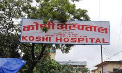कोशी अस्पतालमा ‘ब्लड बैंक’ स्थापनाको तयारी