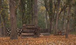 कञ्चनपुरमा डढेलोको जोखिम बढ्दो, पूर्वतयारी कमजोर