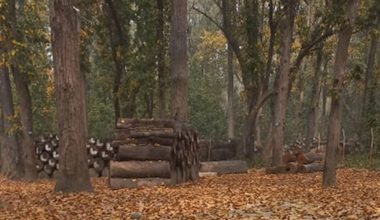 कञ्चनपुरमा डढेलोको जोखिम बढ्दो, पूर्वतयारी कमजोर