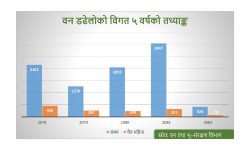 मनसुन पूर्वको वर्षाले घटायो वन डढेलो