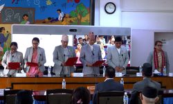 राष्ट्रियसभा अन्तर्गतका चार समितिका सभापतिको पदबहाली