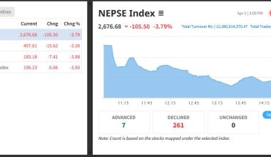 सेयर बजारमा एकैदिन एक सय पाँच अंकको पहिरो