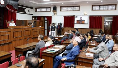 राष्ट्रियसभा बैठक : इन्धन असहजता र बढ्दो महँगीका विषयमा ध्यानाकर्षण