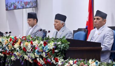 संविधानको भावना र जनचाहनाबमोजिम काम गर्न राष्ट्रपतिको आग्रह