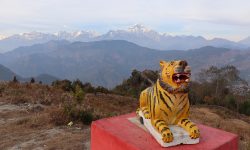 बाघखोरमा बाघको प्रतिमासहितको ‘पार्क’ निर्माण