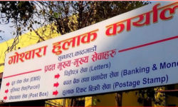 सार्वजनिक बिदाको दिन पनि हुलाकबाट वस्तु आयात–निर्यातको सेवा लिन सकिने