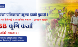 प्राथमिकताका साथ कृषिमा लगानी बढाउँदै राष्ट्रिय वाणिज्य बैंक