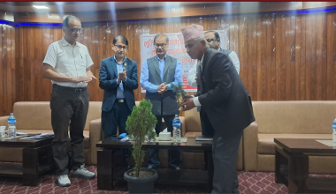 लुम्बिनी प्रदेशमा दूध र मासु उत्पादनका लागि भैँसीको वंश सुधार कार्यक्रम