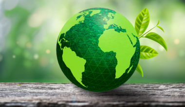 आज वनस्पति दिवस : हरित अर्थतन्त्रको विकासमा जोड