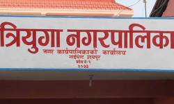 सडकपेटीमा व्यापार नगर्न निर्देशन