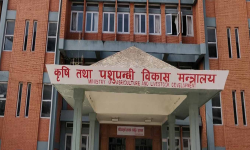 अखाद्य वस्तु भेटिएपछि बागमती स्विट्सको उत्पादन रोक्न निर्देशन
