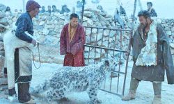 नेपाल अन्तर्राष्ट्रिय चलचित्र महोत्सवमा सिजाङ प्यानोरमाका चलचित्र