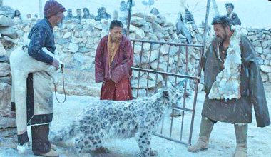 नेपाल अन्तर्राष्ट्रिय चलचित्र महोत्सवमा सिजाङ प्यानोरमाका चलचित्र