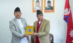 प्रदेश प्रमुखसमक्ष मुस्लिम आयोगको वार्षिक प्रतिवेदन पेस