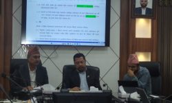 ऊर्जा मन्त्री श्रेष्ठद्वारा विद्युत नीतिमाथि छलफल