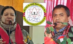 दुई दिने सार्वजनिक बिदा निर्णयप्रति नेसनल प्याब्सनको चिन्ता, शैक्षिक क्यालेण्डर प्रभावित हुने चेतावनी