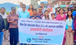 विश्व प्रेस स्वतन्त्रता दिवशका अवसरमा सिन्धुलीमा प्रभातफेरि र कोणसभा