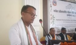 मधेसमा पोषण सुधार हुनुपर्नेमा सभामुख यादवको जोड