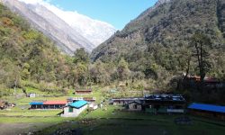 घुम्तीगोठबाट पर्यटकीयस्थलमा परिणत भएको दोभान