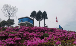 आहा ! एन्जेलिया