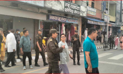 सीमामा भन्सार कडाइ : महेन्द्रनगरमा चहलपहल बढ्यो, वनबासा सुनसान