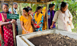 रासायनिक मललाई प्रतिस्थापन गर्दै गँड्यौला मल