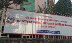 समस्याग्रस्त सहकारीका ठूला ऋणीहरूको नाम सार्वजनिक गर्न सुरु